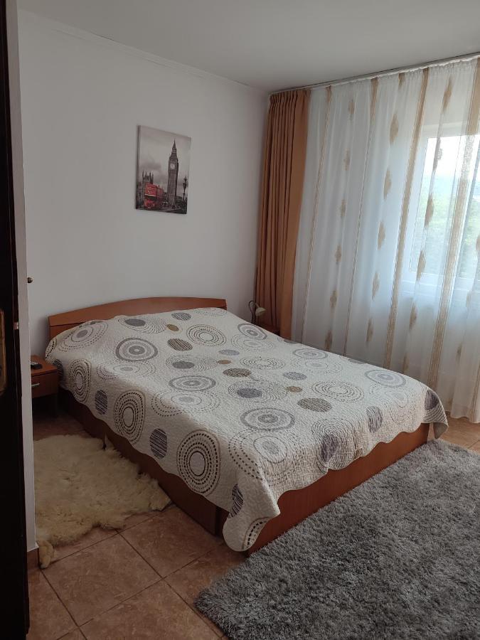 Casa Irilen 호텔 Mînăstirea Humorului 외부 사진